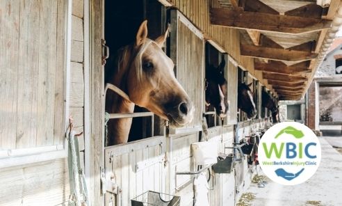 Horses that need mucking out