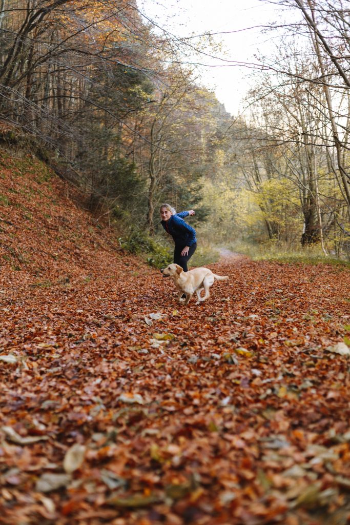 Throwing a ball for a dog